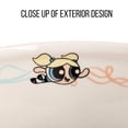 thumbnail image 3 of Cuenco de arroz con fideos ramen de cerámica, plateado, Buffalo Powerpuff Girls, 3 of 7