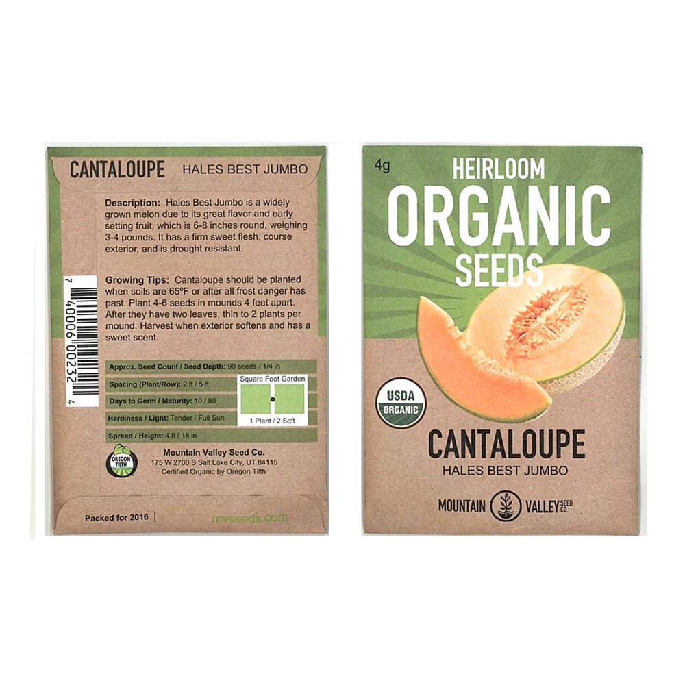 Cantaloupe Melon Garden Seeds Hales Best Jumbo 4 Gram Packet Non