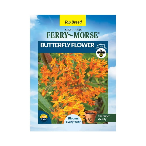 Ferry-Morse 120MG Butterfly Flower Perennial Flower Seeds, Partial Shade