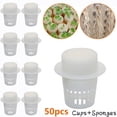 thumbnail image 1 of MYG 50pcs Plant Net Cup and 50pcs Cylinders Sponge, for Hydroponic Plant Starting, 1 of 9
