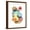 Brown Frame, variant on Art.com Inked Orbs II Art Print by Nikki Galapon, 12" x 16"