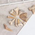 thumbnail image 4 of Natural Animal Tooth Shark Tooth Mineral Specimen Gift Decorative Pendant Toys, 4 of 5