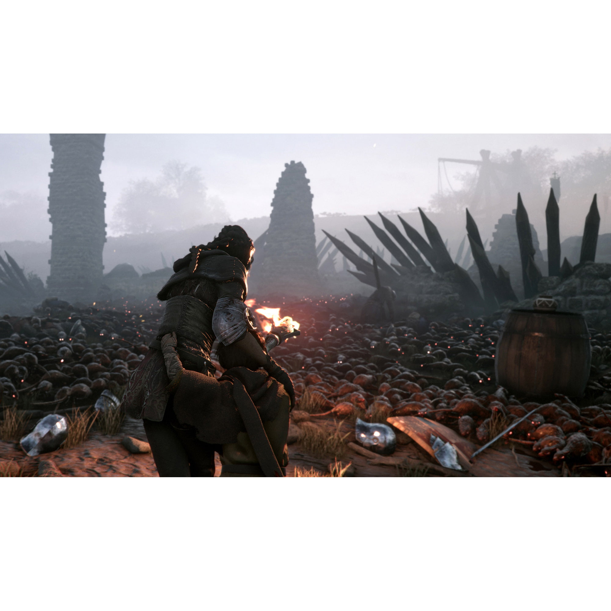  A Plague Tale: Innocence (PS5) - PlayStation 5 : Maximum Games  LLC: Everything Else