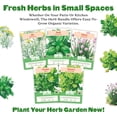 thumbnail image 4 of Epic Gardening Organic Herb Garden Seed Bundle, 5 Non-GMO Varieties for Cooking & Seasoning, Includes Basil, Cilantro, Dill, Chives & Parsley, Non-GMO Seeds, 4 of 6