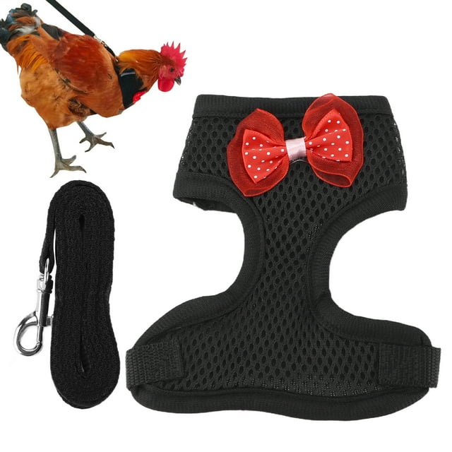 Chaleco Para Gallina, Arnés Y Correa Ajustables Para Pollo