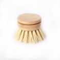 thumbnail image 5 of 2-Pack Replacement Brush – Recambio para Classic Plato Cepillo para Polvo de Lavado WSX 9024736117949, 5 of 5