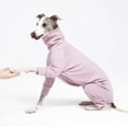 thumbnail image 2 of Cozy Cotton Fluffy Underwear Onesie for Italian Greyhounds,Whippets,Super Soft Warm Pajamas and Jumpsuit(Large, Purple), 2 of 7