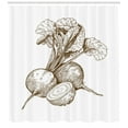 thumbnail image 3 of Vegetable Art Shower Curtain, Beet Roots Gardening Farm Agriculture Cookbook Recipe Vegetarian Pattern, Fabric Bathroom Set with Hooks, 69W X 84L Inches Extra Long, Chocolate White, by Ambesonne, 3 of 3