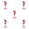 thumbnail image 3 of kurtrusly Earring Display Stand Muti-purpose Ear-Shape Organizer Bedroom Decor Holder pink 5Set, 3 of 6