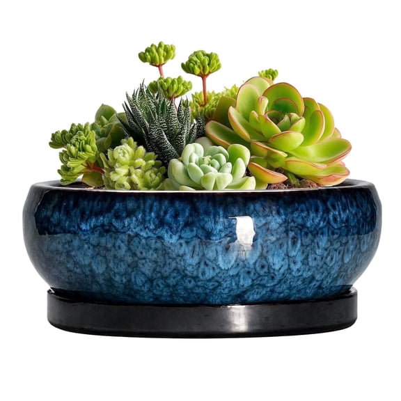 Ordivic 6 inch Blue Glaze Round Ceramic Bonsai Pot with Drainage Hole & Saucer, Decorative Indoor Plant Pot for Home Living Room Decor