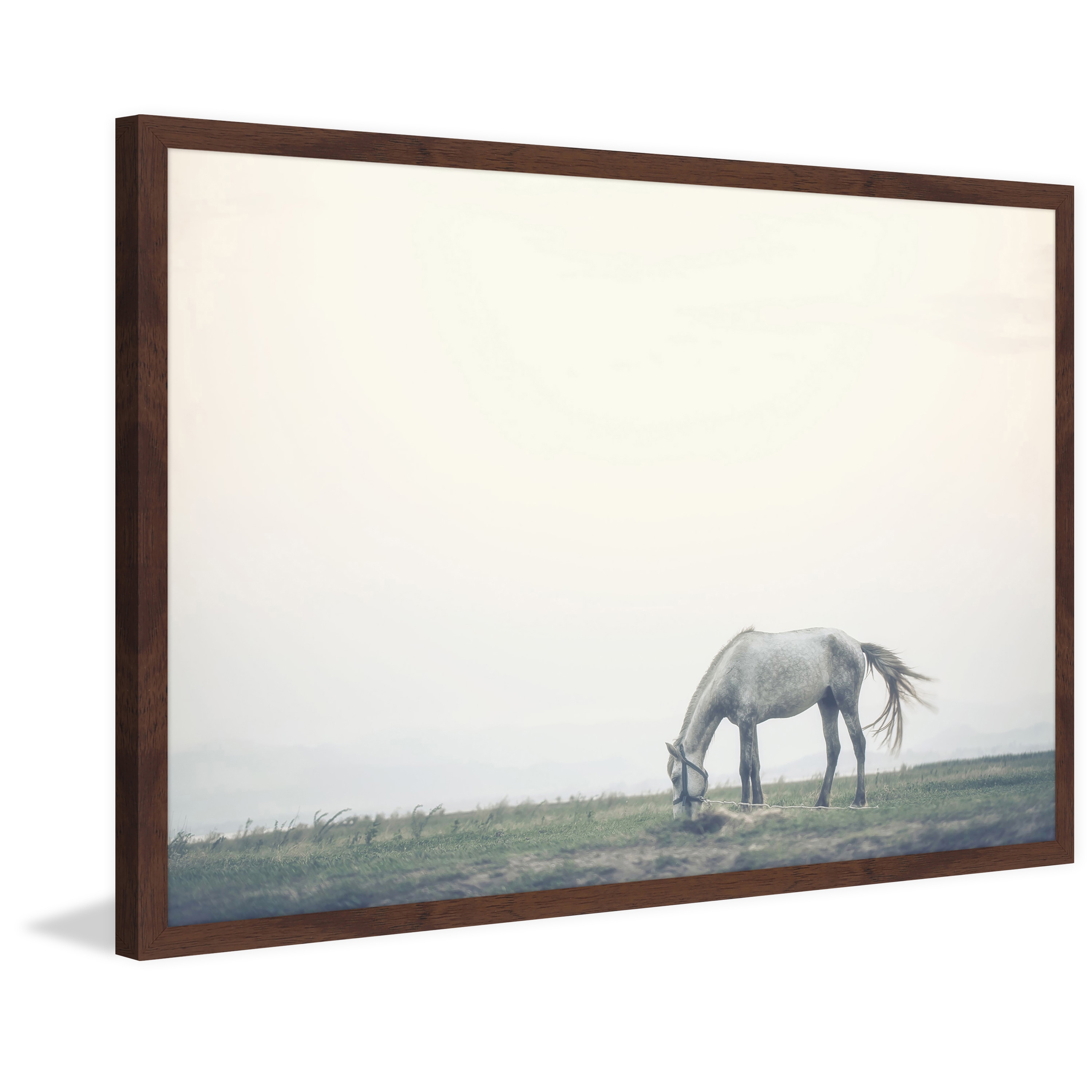 Marmont Hill "Lone Horse Grazing" Framed Painting Print