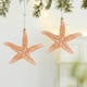 thumbnail image 4 of Planta Artificial Redonda, Jarrn Colgante Metalico, Adornos de Pared, Accesorio de Estudio, Decoracin de Hogar, Metal, 1 Pieza, para Dormitorio, 4 of 6