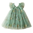 thumbnail image 2 of Toddler Girls Casual Dresses Floral Embroidered Square Collar Sleeveless Tulle Dance Party Princess Dress Activewear, 2 of 8