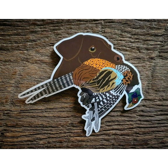 Chocolate Lab with Pheasant Sticker Decal