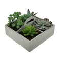 thumbnail image 2 of Artificial Succulent Plant Garden in Wooden Box, 2 of 3