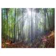 thumbnail image 2 of Morning Sun Rays in Carpathian - Impression sur Toile Photographie de Paysage, 2 of 3