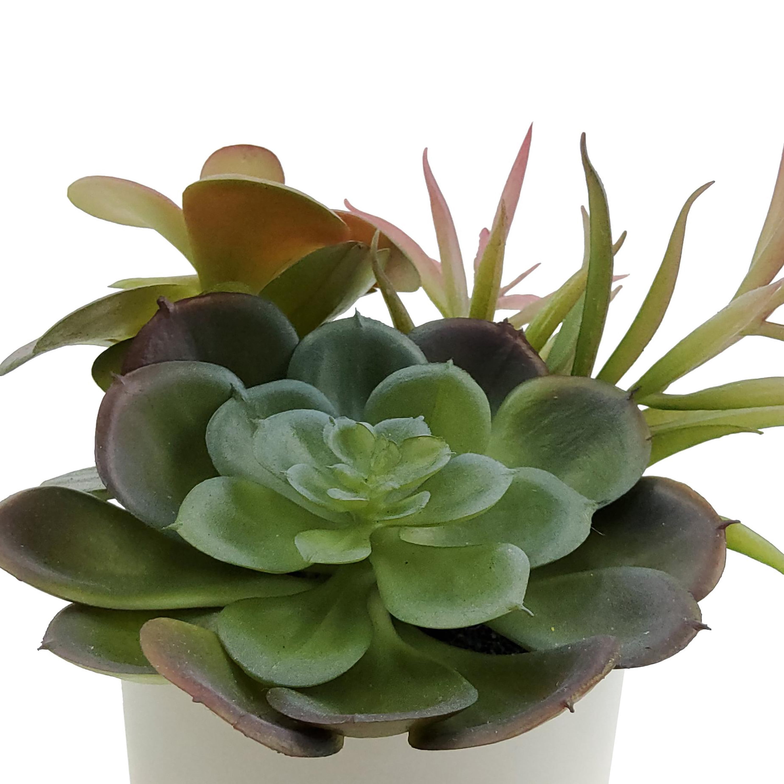 Mainstays 6.5in Indoor Artificial Succulents in Pot, Green Color.