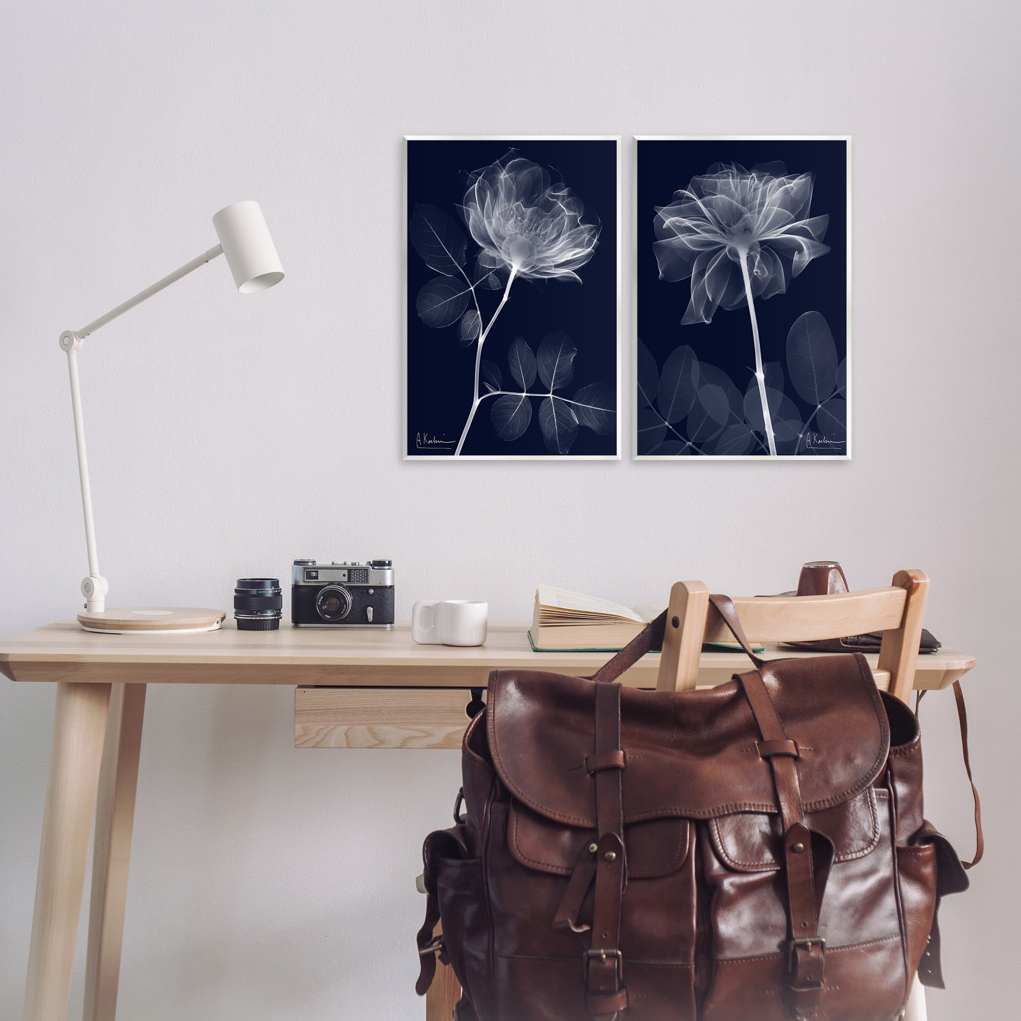 Stupell Industries X-Ray Blossom on Black Botanical & Floral Photography Unframed Art Print Wall Art, 13 x 19, Set of 2