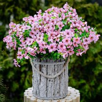 6PCS Artificial Violet Flowers for Outdoors Fake Plants Faux Outside Boxwood No Fade UV Resistant Plastic Shrubs Spring Home Decor Farmhouse Garden Greenery(Pink)