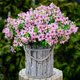 thumbnail image 5 of 12 Manojos de Flores Artificiales de Otoño, Decoración de Otoño Al Aire Libre a Prueba de Decoloración para Porche, Jardín, Patio, Sala de Estar, Recámara - Arreglo Floral Decorativo Multiusos, 5 of 8