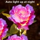 thumbnail image 4 of Decoraciones navideñas, adornos navideños, regalos navideños, decoración de temporada, luces solares de suelo con rosas de simulación, impermeables para exteriores, para jardín, césped, luz LED de reg, 4 of 9