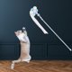 thumbnail image 3 of Cat Toys Funny cat , Cat Toy Interactive Cat , Hairball Bell Toys, Juguetes para de Interior - Rosa Amarillo Azul Yinane Gracioso gato varita, 3 of 7