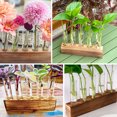 thumbnail image 7 of Hyindoor 5 PCS Glass Test Tube Vases Plant Propagation Stations, Desktop Glass Plant Terrarium with Wooden Stand for Office Home Garden Wedding, 7 of 7
