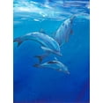 thumbnail image 2 of OToole, Tim 15x18 Black Ornate Wood Framed with Double Matting Museum Art Print Titled - Under Sea Dolphins, 2 of 4