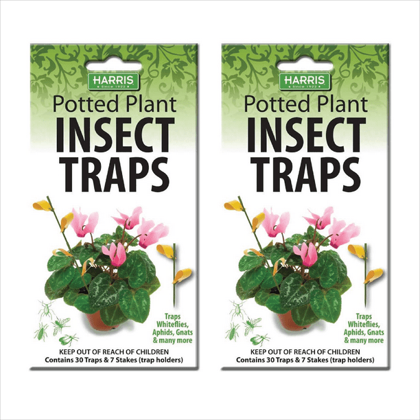 Harris Potted Plant Insect Traps for Gnats, Aphids, Whiteflies and More