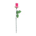 thumbnail image 4 of Way To Celebrate Valentine Red Single Rose, 4 of 5