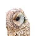 thumbnail image 2 of 12.25" Owl on Stump Outdoor Garden Statue, 2 of 6