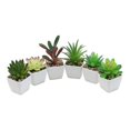 thumbnail image 1 of Assortiment de Plantes Succulentes en Pot, 1 of 5