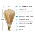 thumbnail image 4 of Feit ST52 E26 (Medium) LED Bulb Amber 60 Watt Equivalence 1 pk, 4 of 7