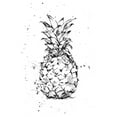 thumbnail image 2 of Harper, Ethan 23x32 White Modern Wood Framed Museum Art Print Titled - Pineapple Ink Study II, 2 of 4