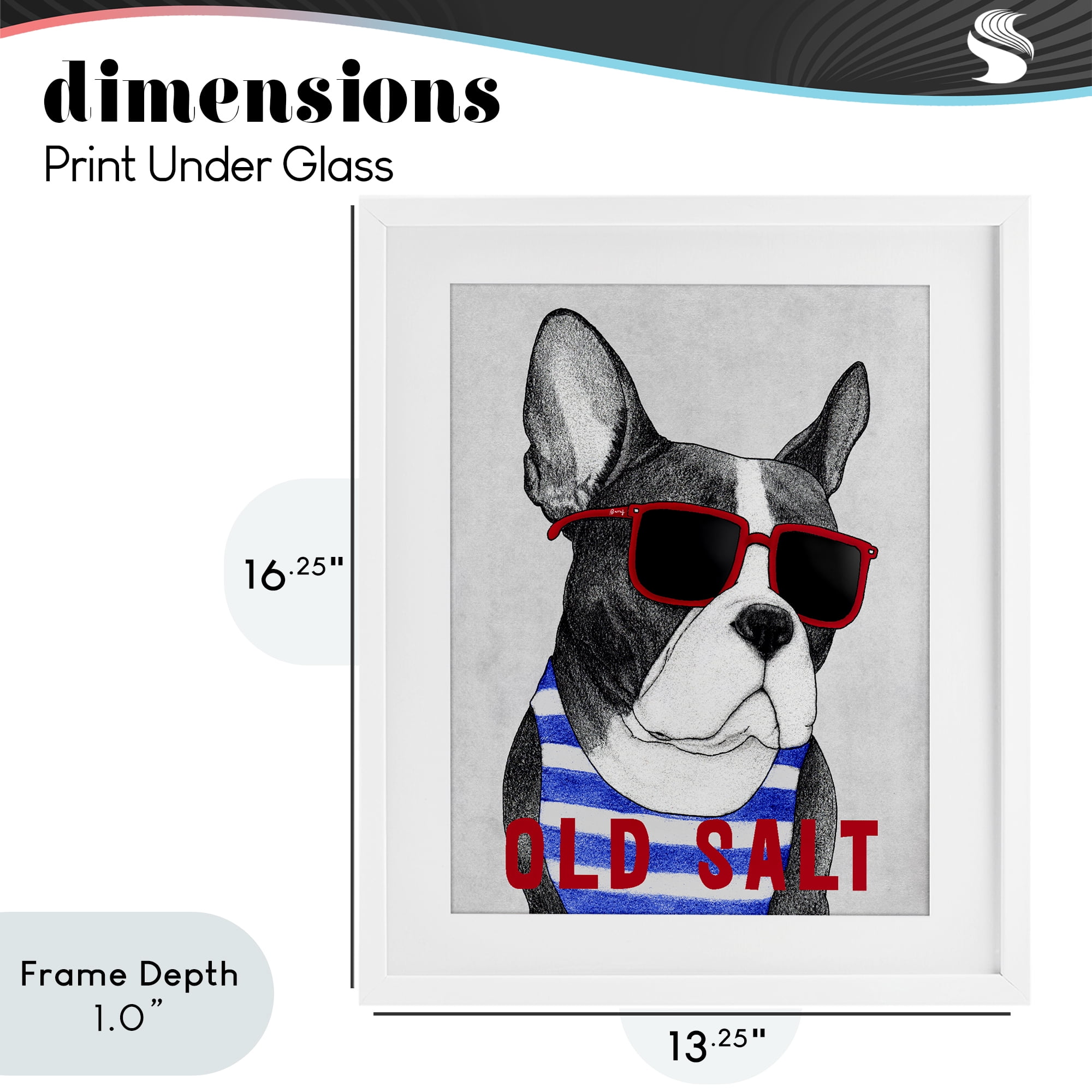 Stupell Industries Old Salt Summer Frenchie White Framed Print Under Glass, design by Barruff