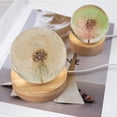 thumbnail image 4 of Light Mold Round Shape Lamp Mould Silicone Mold DIY Light DIY Craft Reusable Light Maker Ball, 65mm Ball Mold, 4 of 7