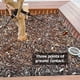 thumbnail image 4 of Kit De Estacas Para Árboles Con Acabado Profesional Soporte De Plantas Con Estaca Para Árboles Jóvenes De Jardín Eigraketly HA035481-00, 4 of 6