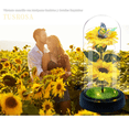 thumbnail image 3 of Regalos Para Ella Girasol Flores Eternas Artificiale Con Luz Xtellar amarillo, 3 of 3