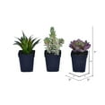 thumbnail image 2 of Vickerman FE191203 Ensemble Potted Succulent Vert 7 Po., 2 of 2