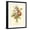 Black Frame, variant on Art.com Plentiful Bouquet I Art Print by T.L. Prevost, 12" x 16"