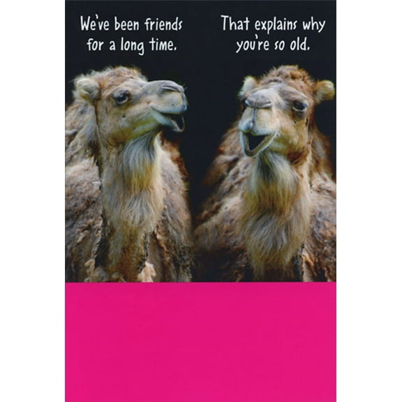 Recycled Paper Greetings Two Camels Talking : Friends For a Long Time Humorous / Funny Birthday Card