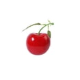 thumbnail image 1 of Matsuzay Cereza simulada Centro de creativamente encantador Doble cabeza Frutas falsas Patrones grandes Decorar Gabinete Sala Salón Decoración único rojo brillante NO8 Matsuzay HA071879-08, 1 of 6