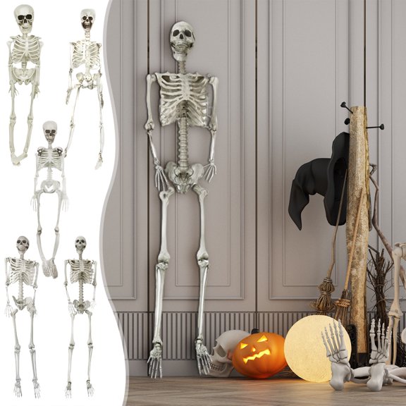 FEOLGEHLY 1.3 FT Halloween Posable Life Size Skeleton Full Body Realistic Bones with Movable Joints for Indoor Outdoor Halloween Decorations Props Spooky Scene Party Decor (White)