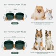 thumbnail image 4 of Spunkyjunky Cuenco De Cerámica Para Perros Y Gatos Con Soporte De Madera, Juego De Agua Y Comida Ponderada Con Esmalte Mate Antideslizante Para Gatos, Perros Medianos, 28,7 Onzas, 4 of 5