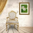 thumbnail image 3 of Stevenson, Graeme 15x18 Gold Ornate Wood Framed with Double Matting Museum Art Print Titled - White Flower, 3 of 4