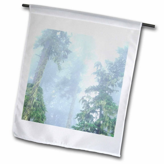 3dRose, USA, Oregon, Old-growth Douglas Fir tree in the rainforest., 12 x 18 inch Garden Flag