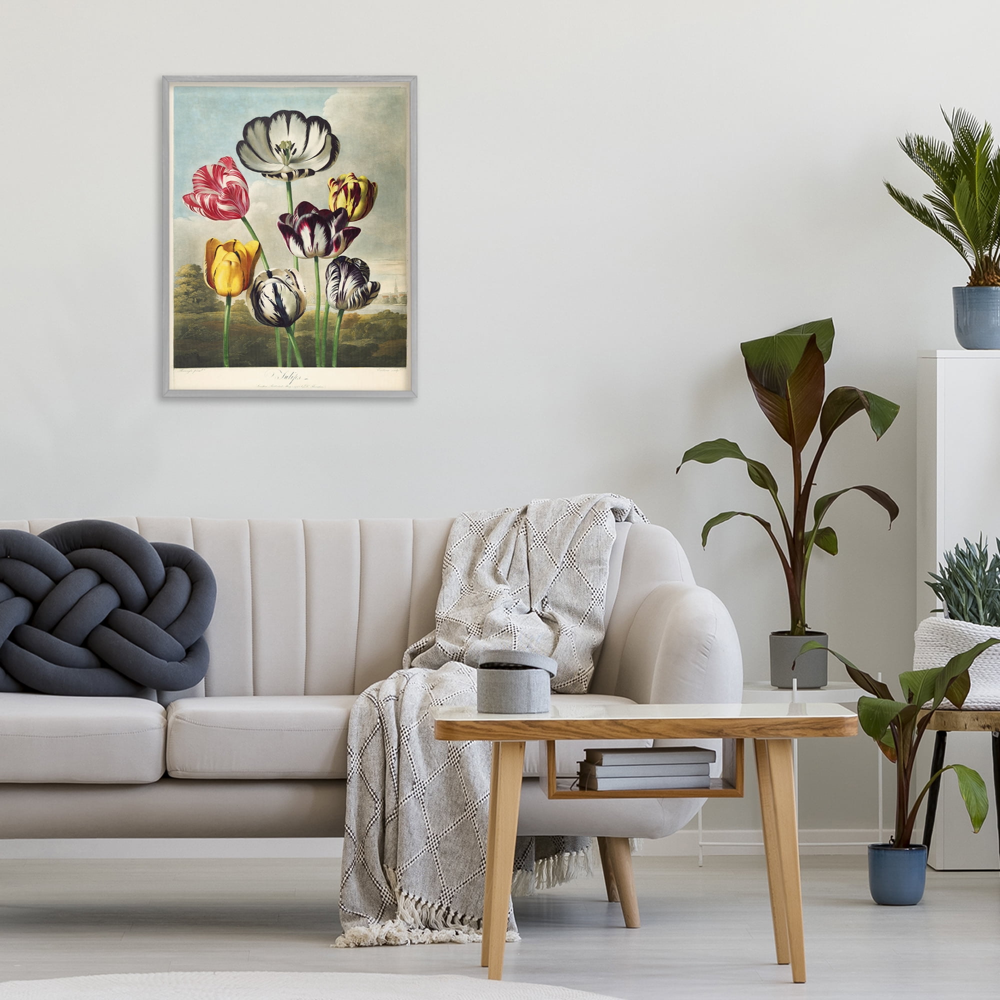 Stupell Industries Tulips From The Temple Gray Framed Giclee Art, design by Print Collection