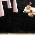thumbnail image 4 of Softlife Stylish Soft Shaggy Velvet Carpet for Living Room Bedroom, Fluffy Area Rugs,3'x5',Black, 4 of 6