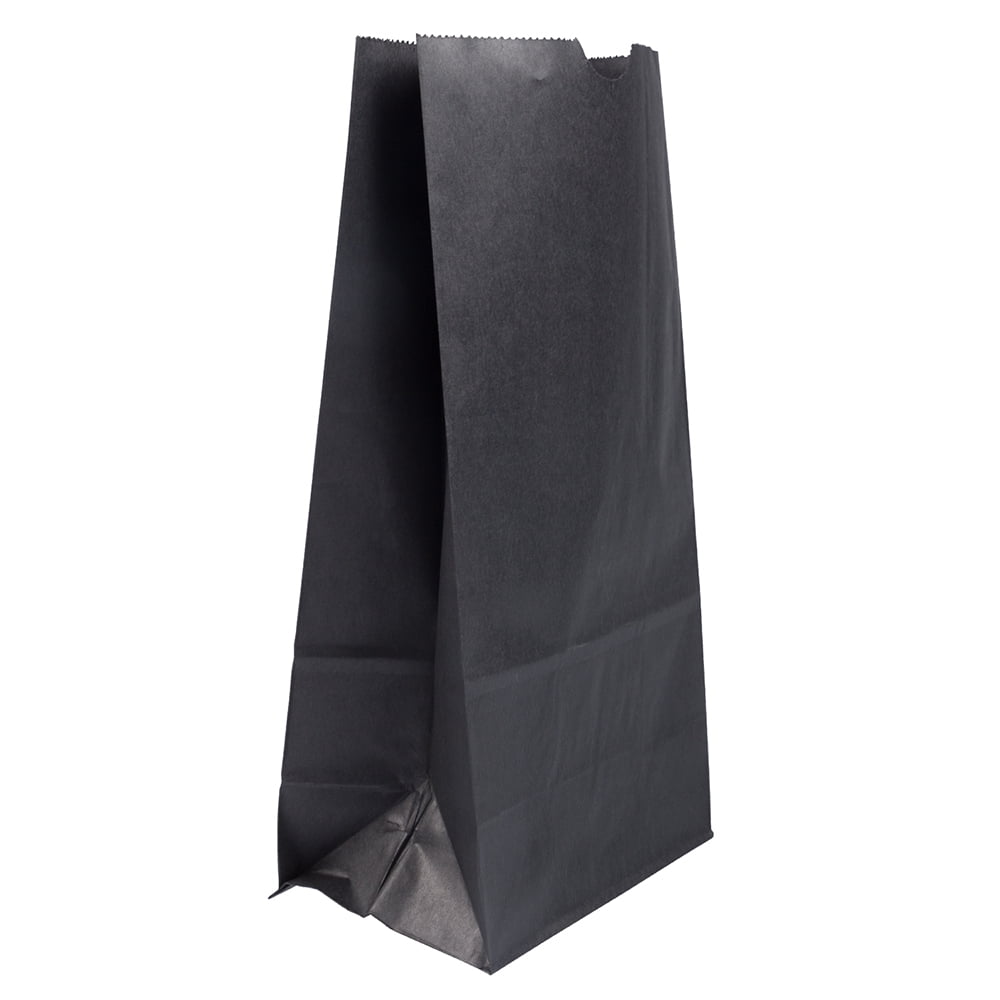 JAM PAPER Lunch Bags Large 152.4 x 279.4 x 95.2 mm (6" x 11" x 3 3/
