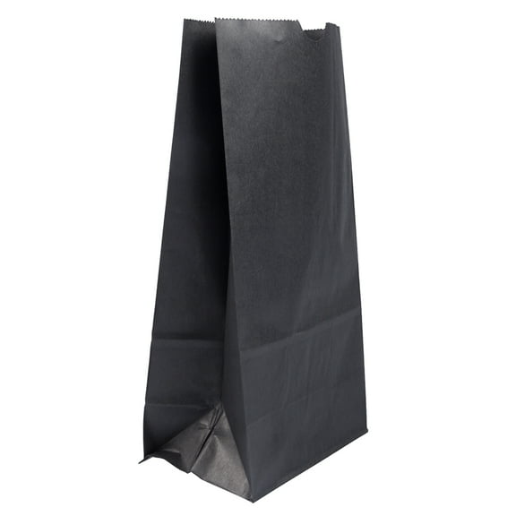 JAM Paper Large Kraft Lunch Bags, 6 in x 11 in, Black, 25 per Pack